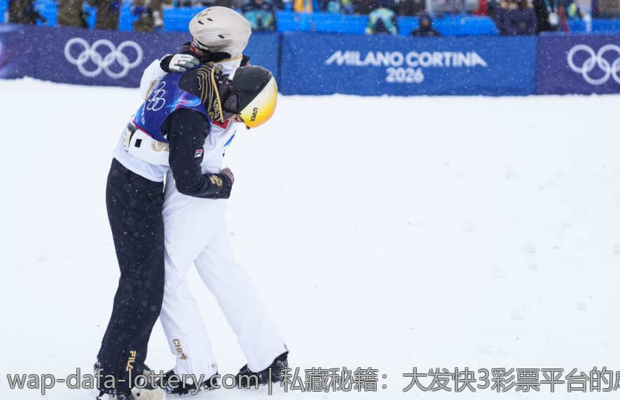私藏秘籍：大发快3彩票平台的成功之道